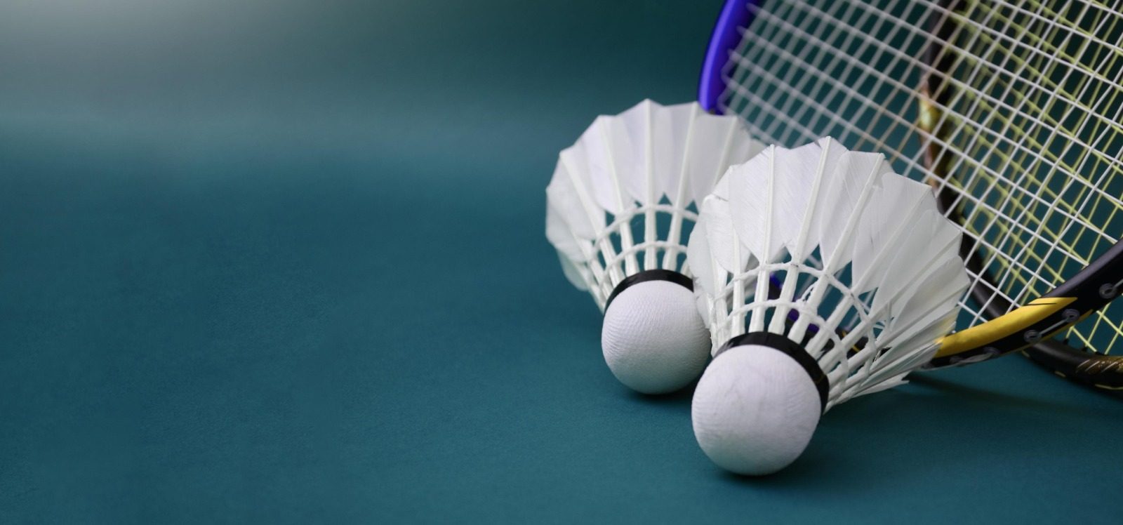 Badminton Association of Mayiladuthurai event